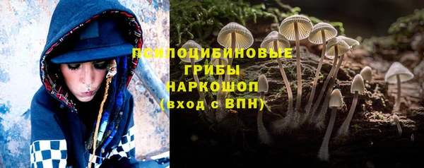 мяу мяу кристалл Вяземский
