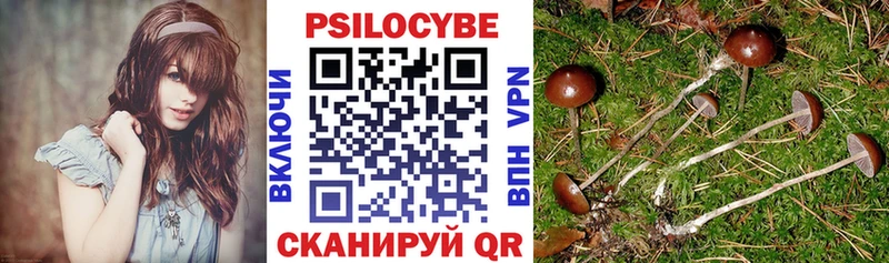 Галлюциногенные грибы прущие грибы Купить закладки Ливны